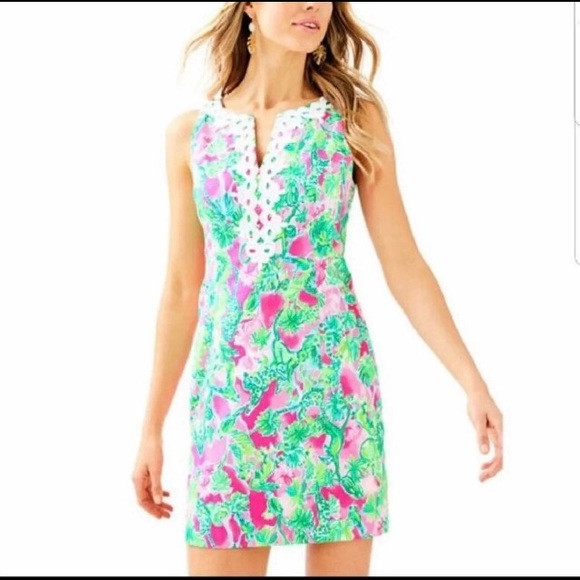 Gabby shift dress chatty shack - Picture 3 of 4